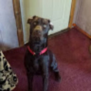 Meet your Posher, Kris